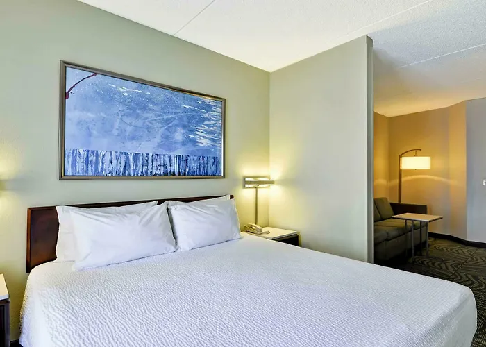 Springhill Austin Round Rock