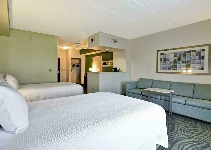 Springhill Austin 3*
